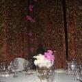DSC07906.jpg